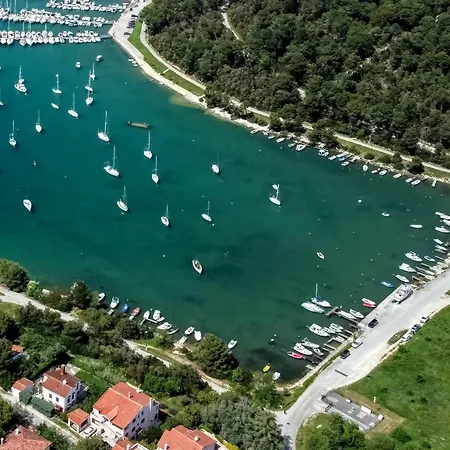 Apartman Family Friendly With A Swimming Pool Vinkuran, - 15736