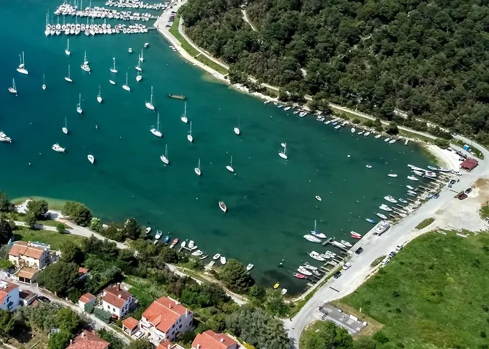 Apartman Family Friendly With A Swimming Pool Vinkuran, - 15736