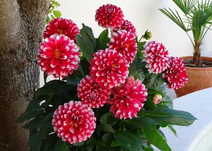 Family Friendly With A Swimming Pool Vinkuran, - 15736