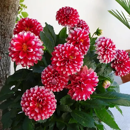 Family Friendly With A Swimming Pool Vinkuran, - 15736